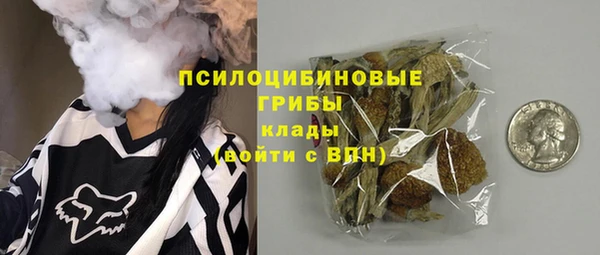 бошки Абаза