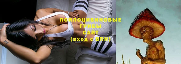 таблы Алзамай