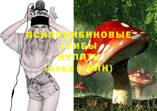 ПСИЛОЦИБИНОВЫЕ ГРИБЫ Абинск