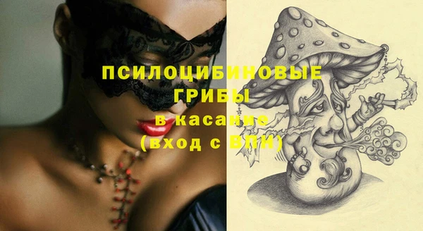 ПСИЛОЦИБИНОВЫЕ ГРИБЫ Абинск