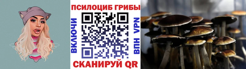 купить наркотик  Смоленск  Галлюциногенные грибы Magic Shrooms 