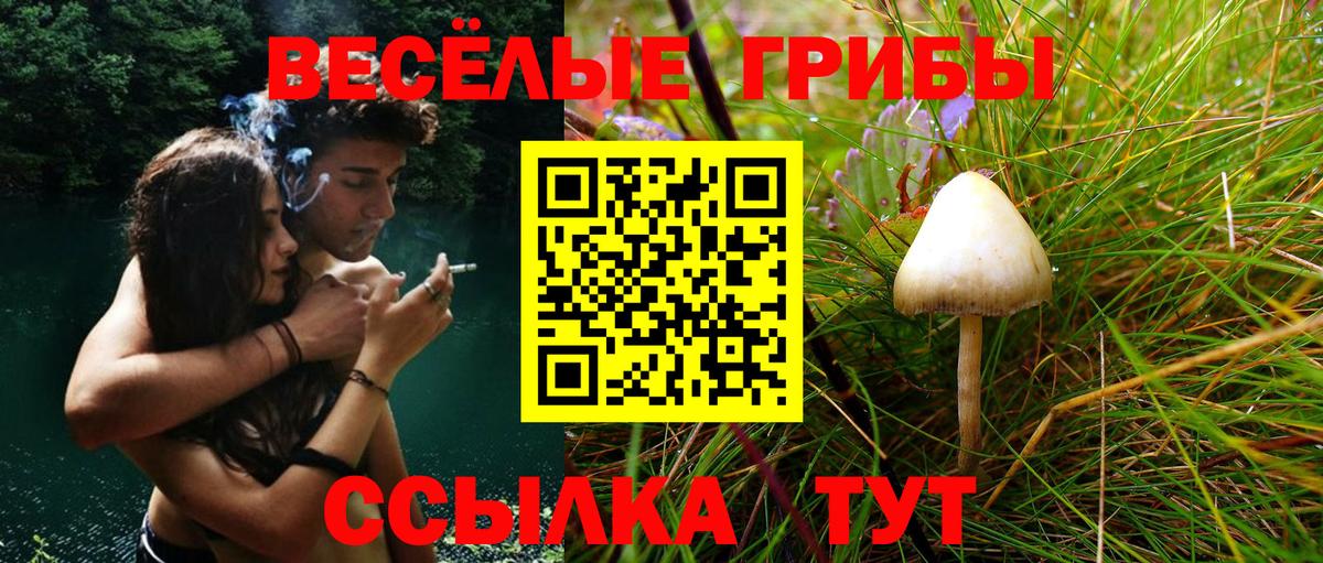Смоленск  Галлюциногенные грибы Magic Shrooms  Галлюциногенные грибы Psilocybine cubensis  Вход с VPN 