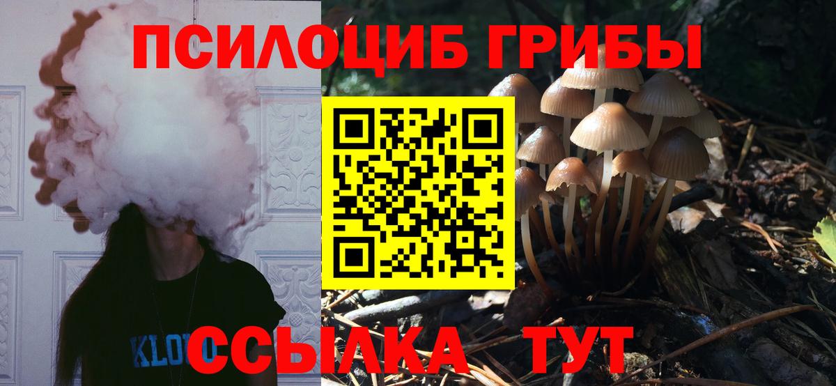 Псилоцибиновые грибы GOLDEN TEACHER Смоленск